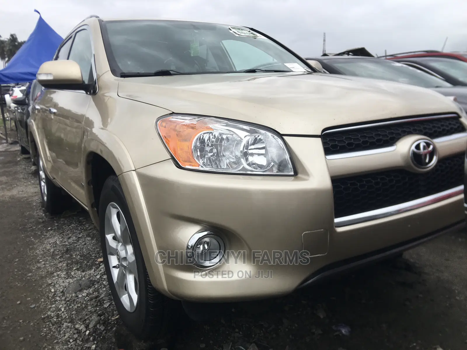 Toyota RAV4 3.5 Limited 2010 Gold