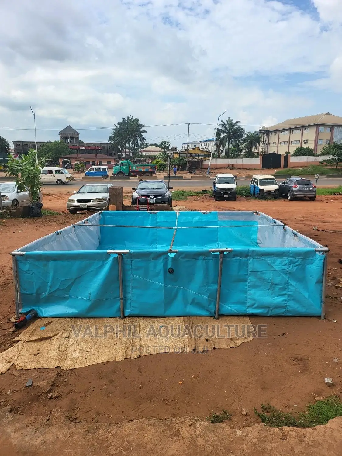 1st Choice Fish Pond