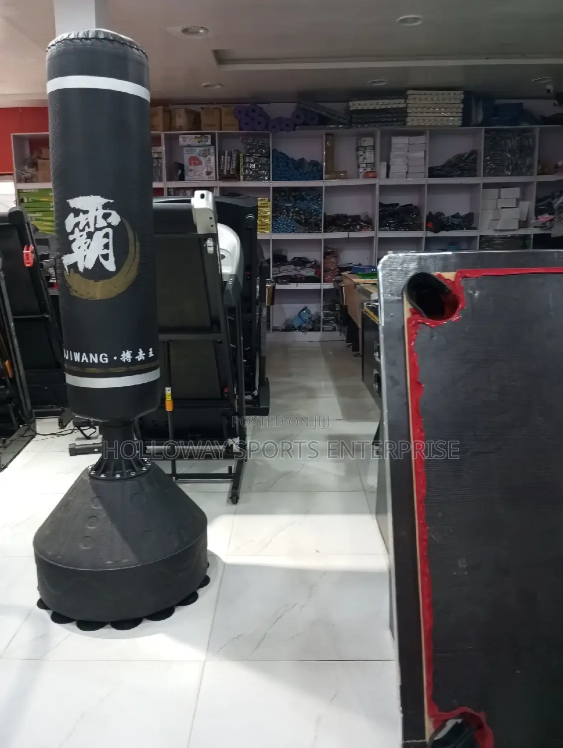 R-Standing Punching Bag