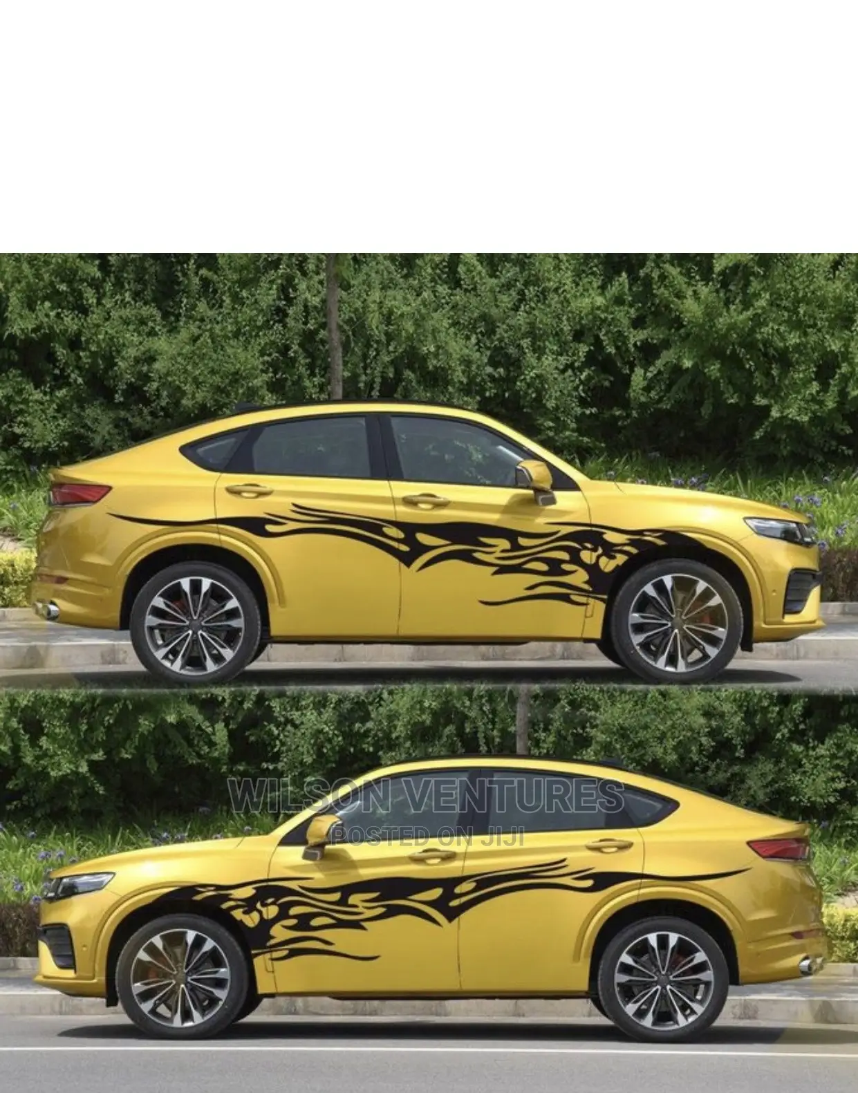 Car Body Sticker