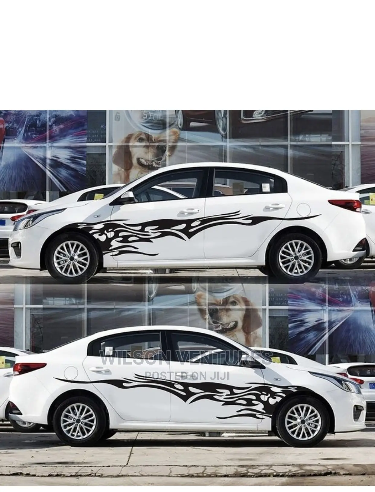 Car Body Sticker