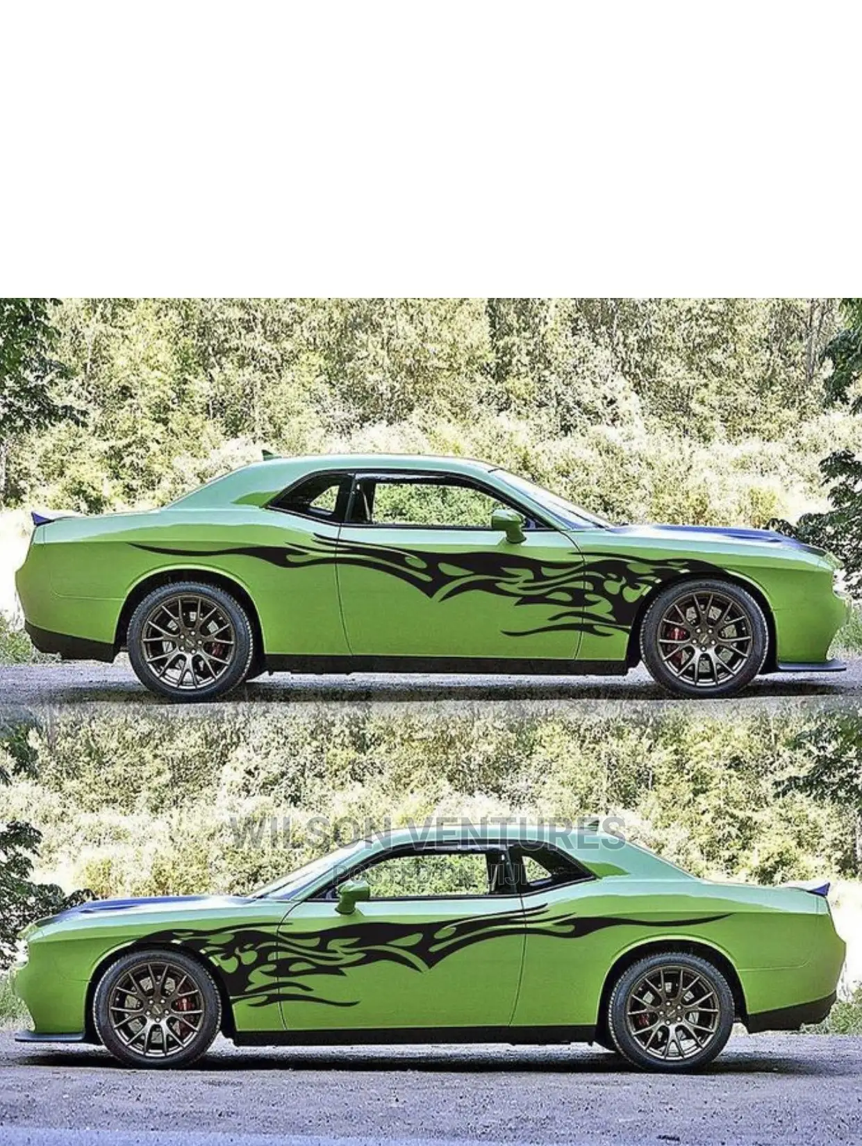 Car Body Sticker