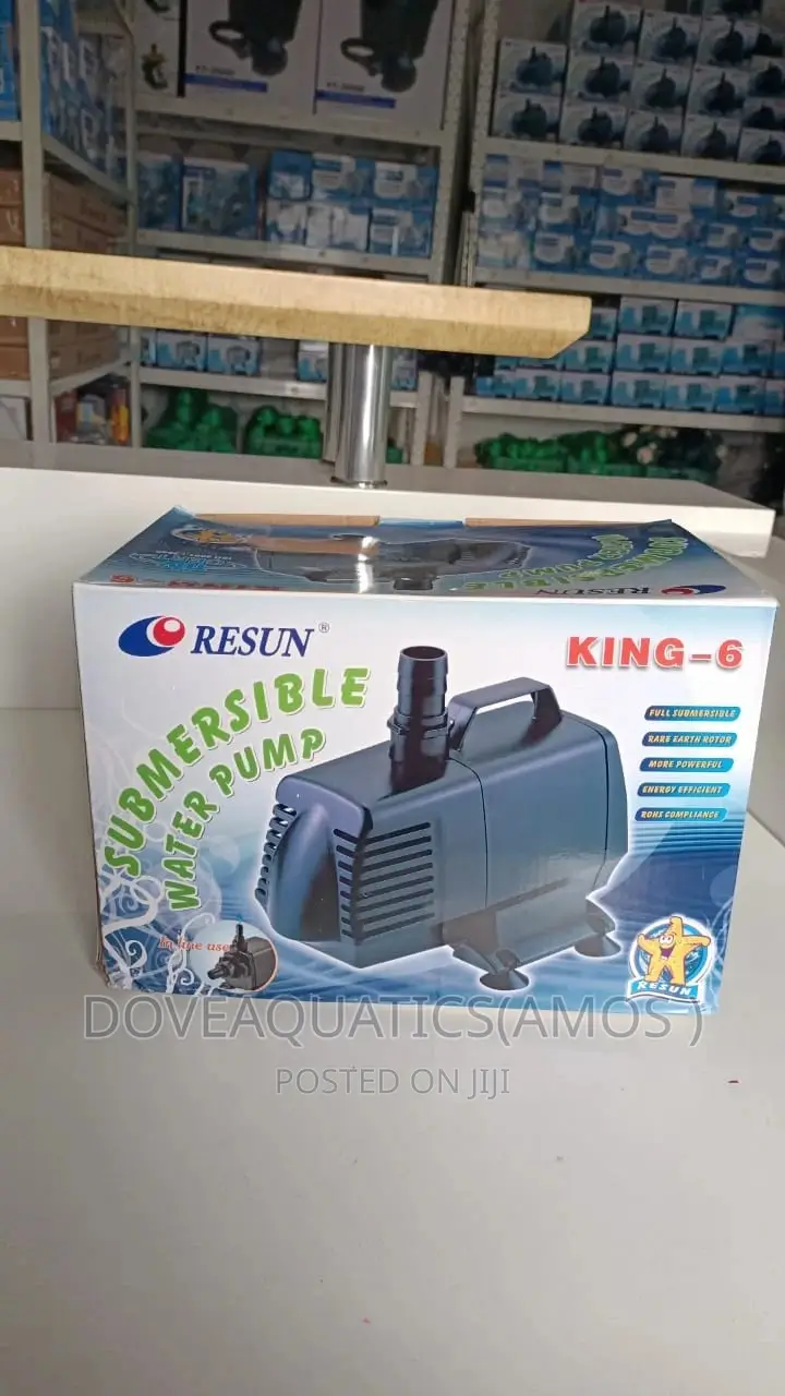 King 6 Recirculating/ Fountain Pump