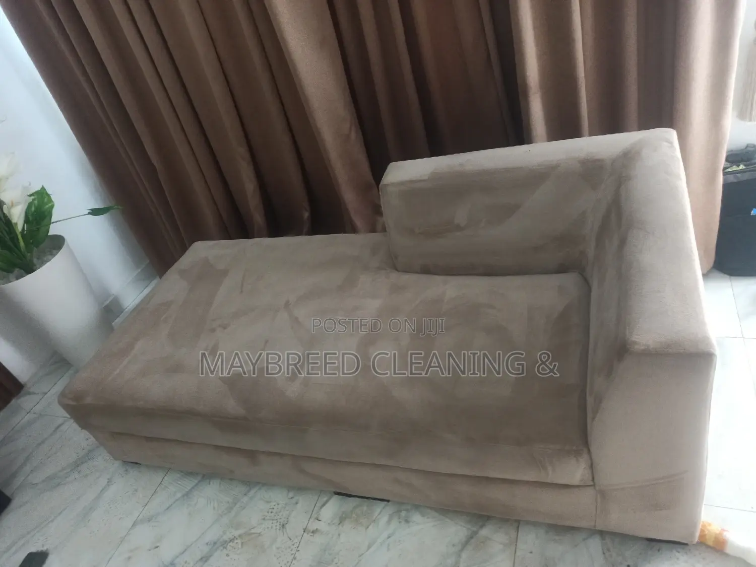 Couch Cleaning and Fumigation Services