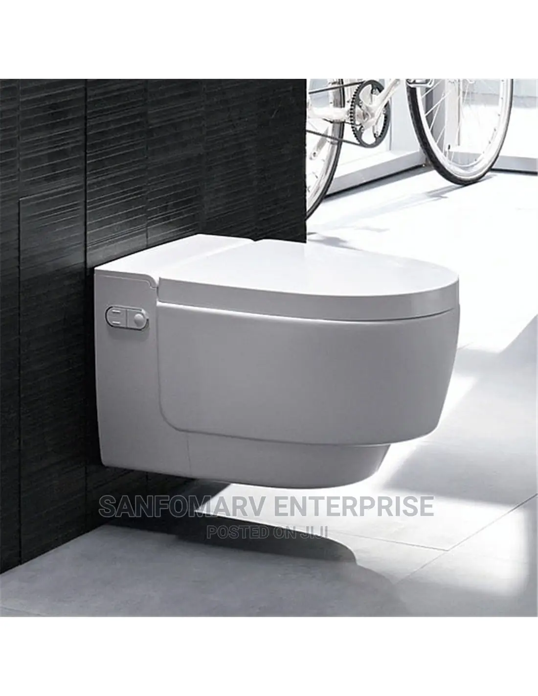 Geberit Aqua Mera Pan and Cover
