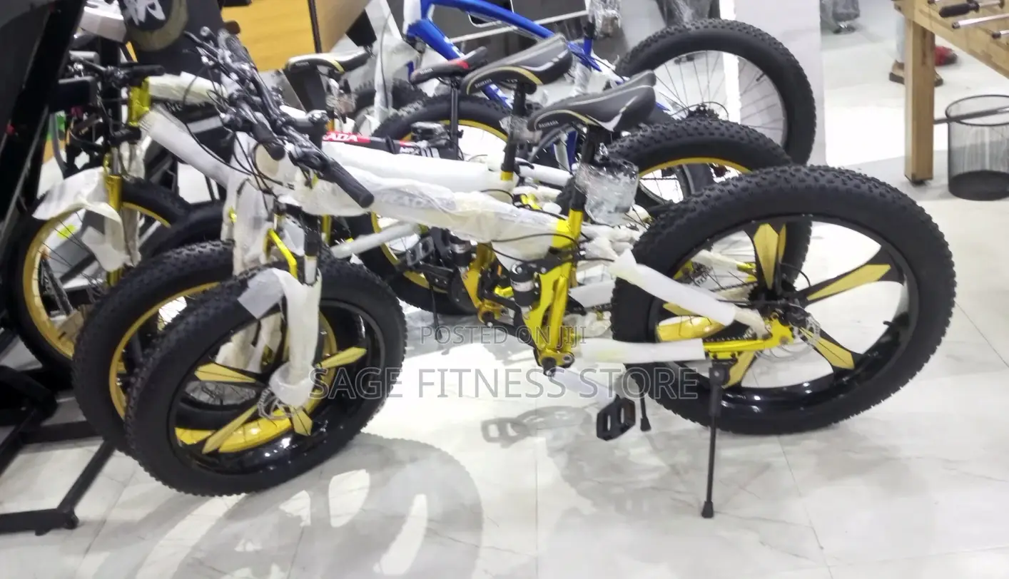 Original Big Tire Bike (Foldable Bike)