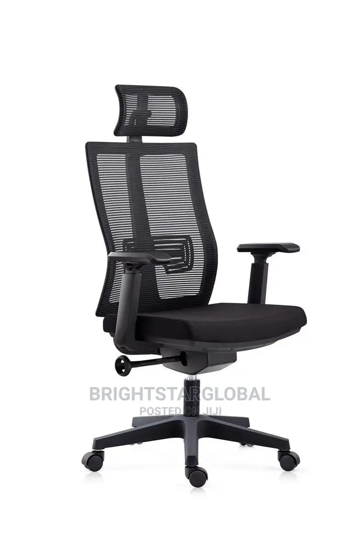 Orthopedic Executive Office Ergonomic Mesh Chair