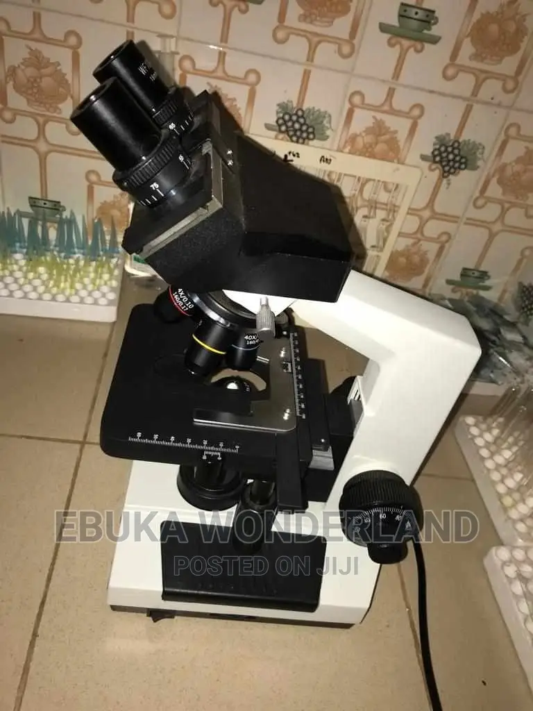 Microscope Olympus