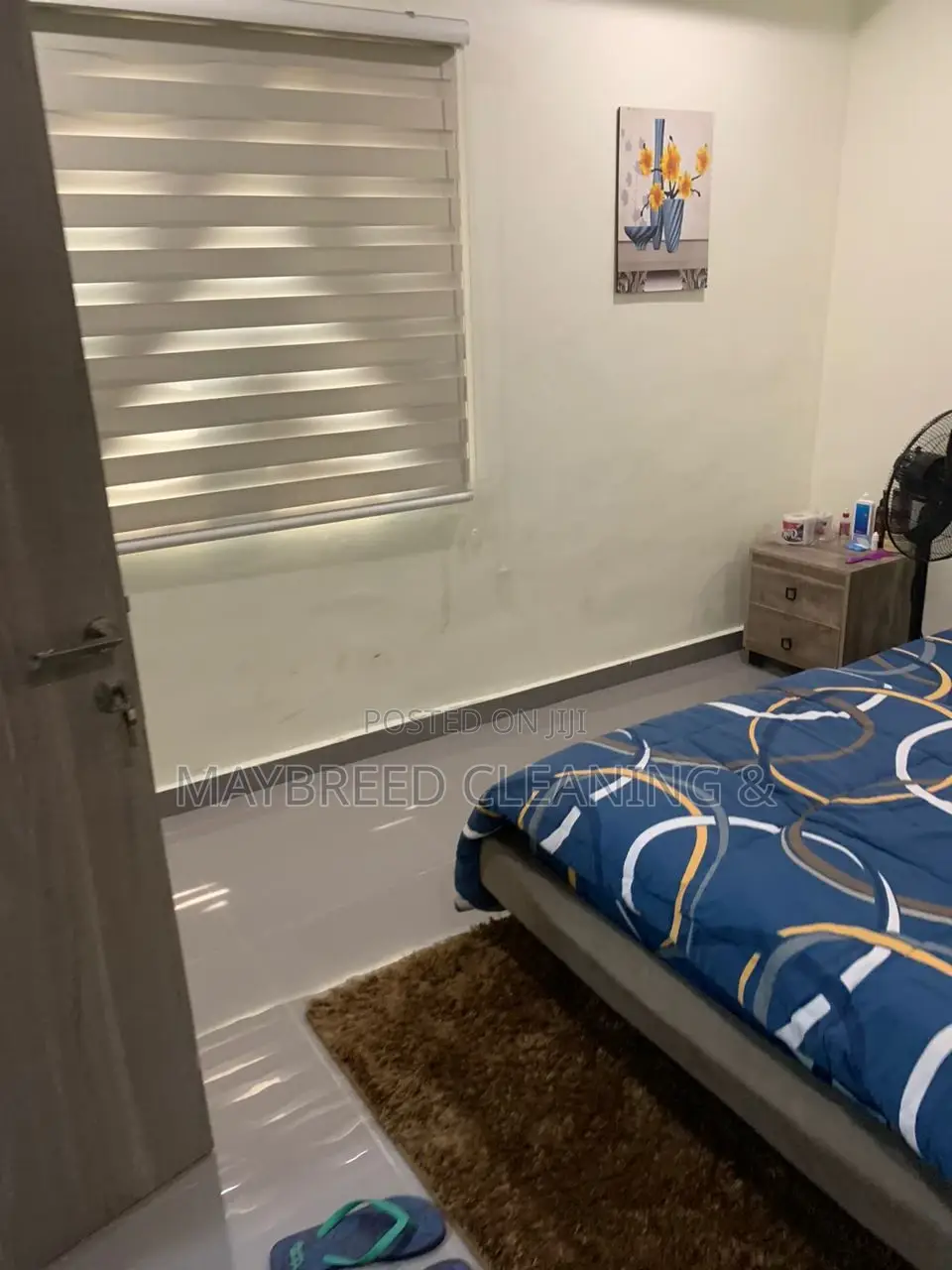 Professional House Cleaning Service