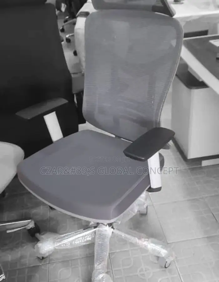 Luzury Ergonomic Office Chairs With Headrest