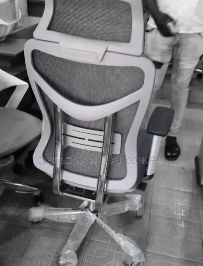 Luzury Ergonomic Office Chairs With Headrest