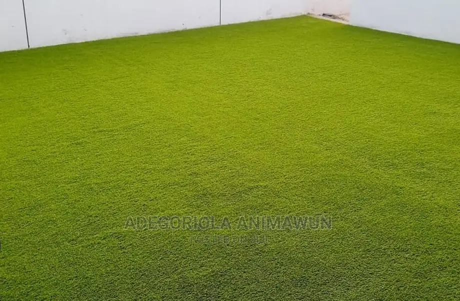 40mm Artificial Grass (+Free Installation)