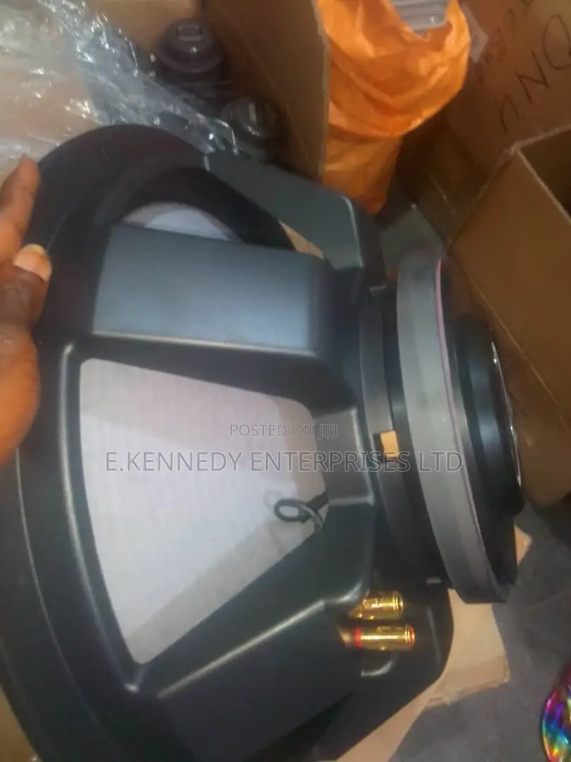 Professional 18" Inches Stock Naked Speaker