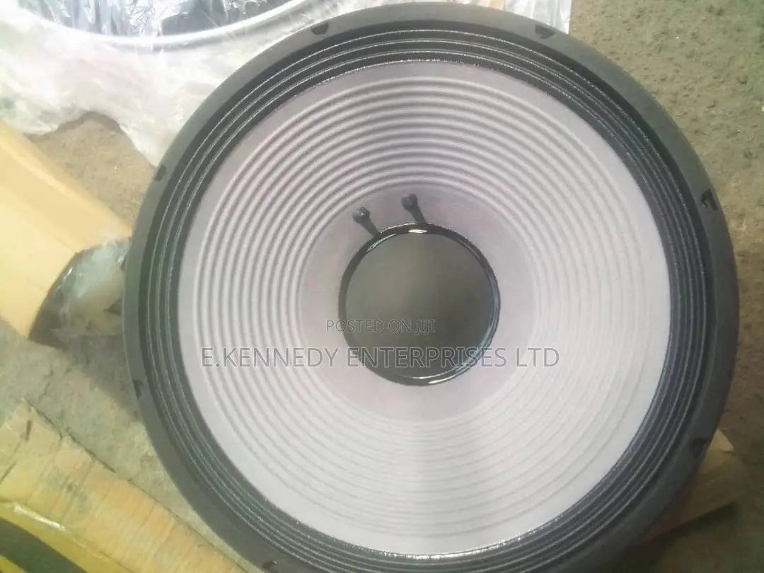 Professional 18" Inches Stock Naked Speaker