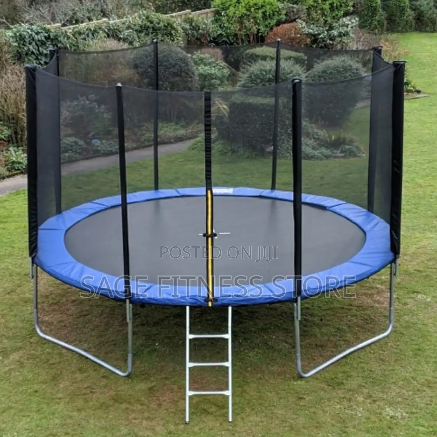 10ft Jumping Trampoline With Ladder