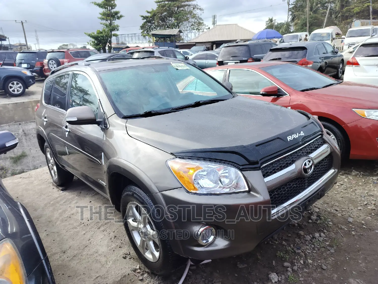 Toyota RAV4 Limited 2011 Brown
