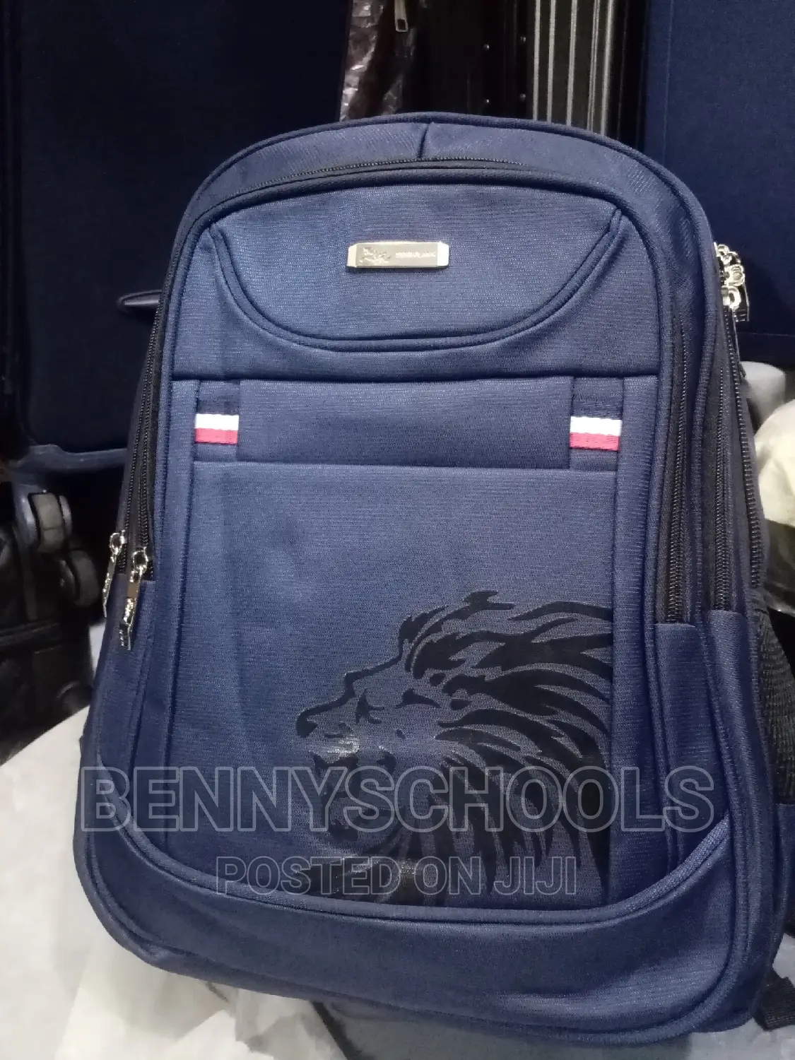 Senbolang Backpack, Laptop Bag and School Bag