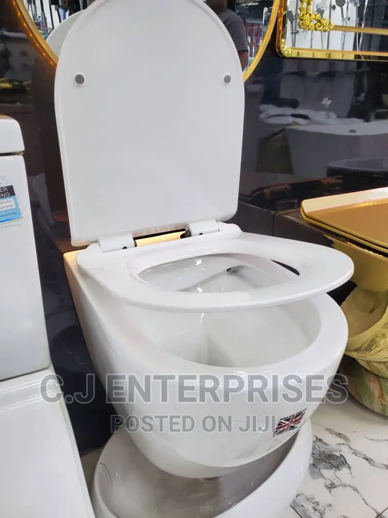Conceal Tank And Wall Wc Sit