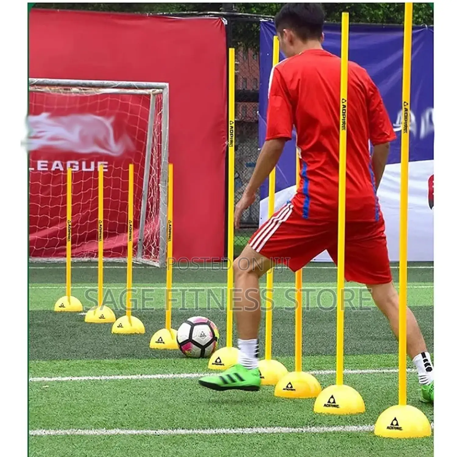 Agility Pole