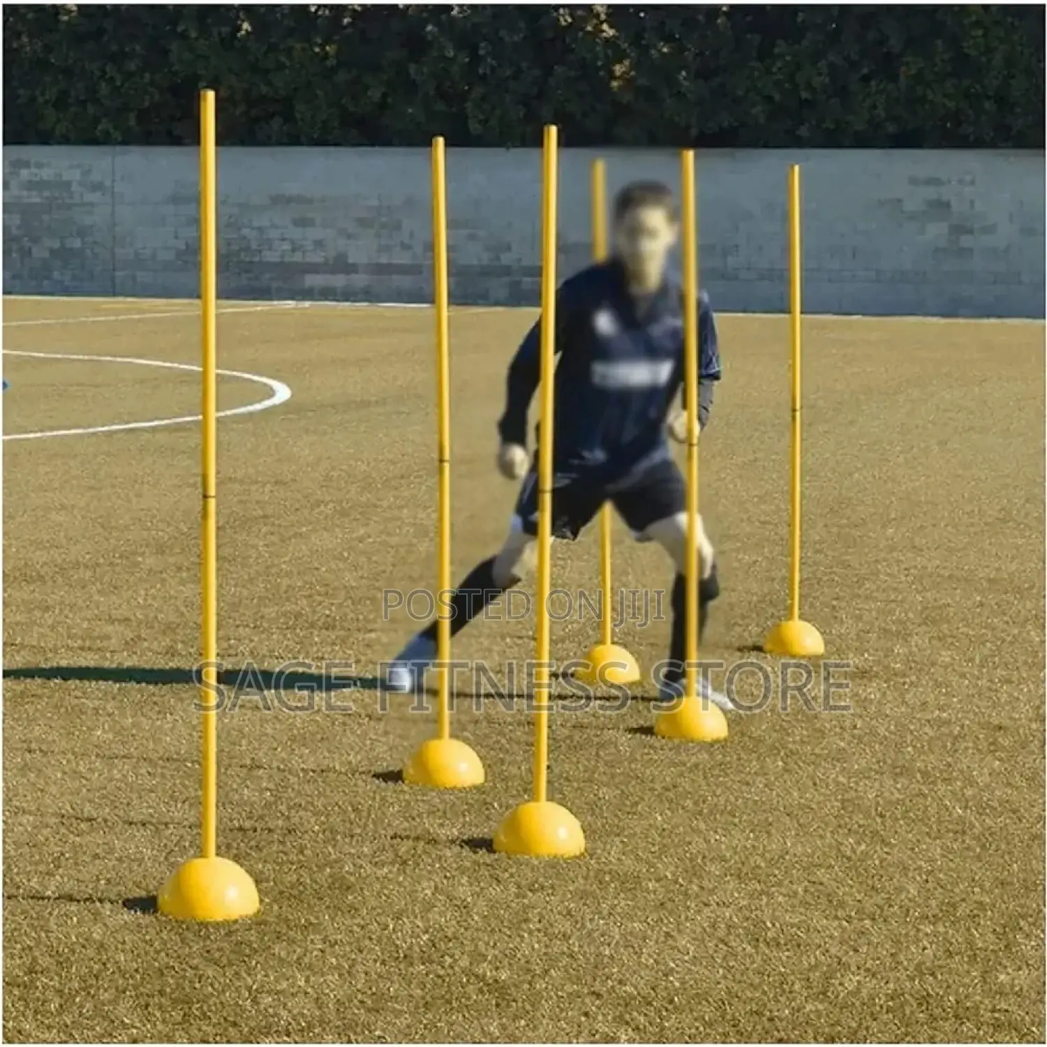 Agility Pole
