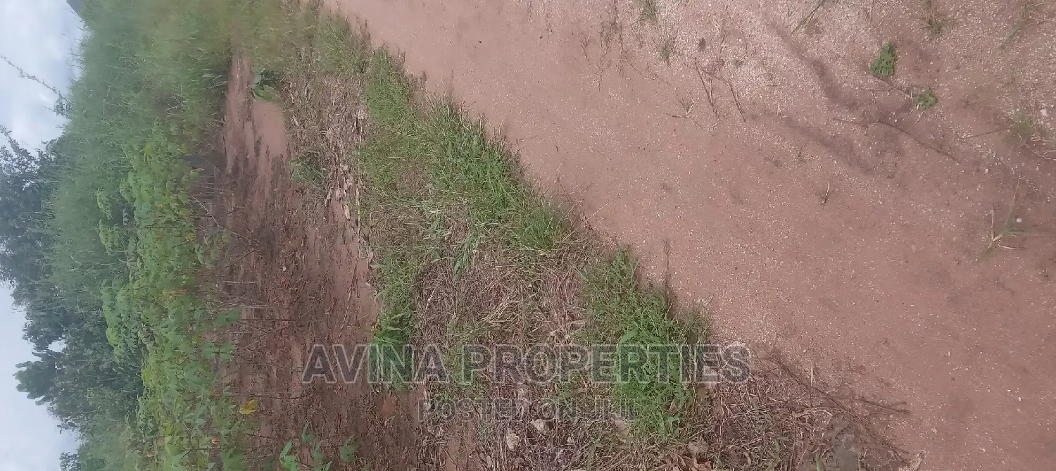 One Plot of Land for Sale