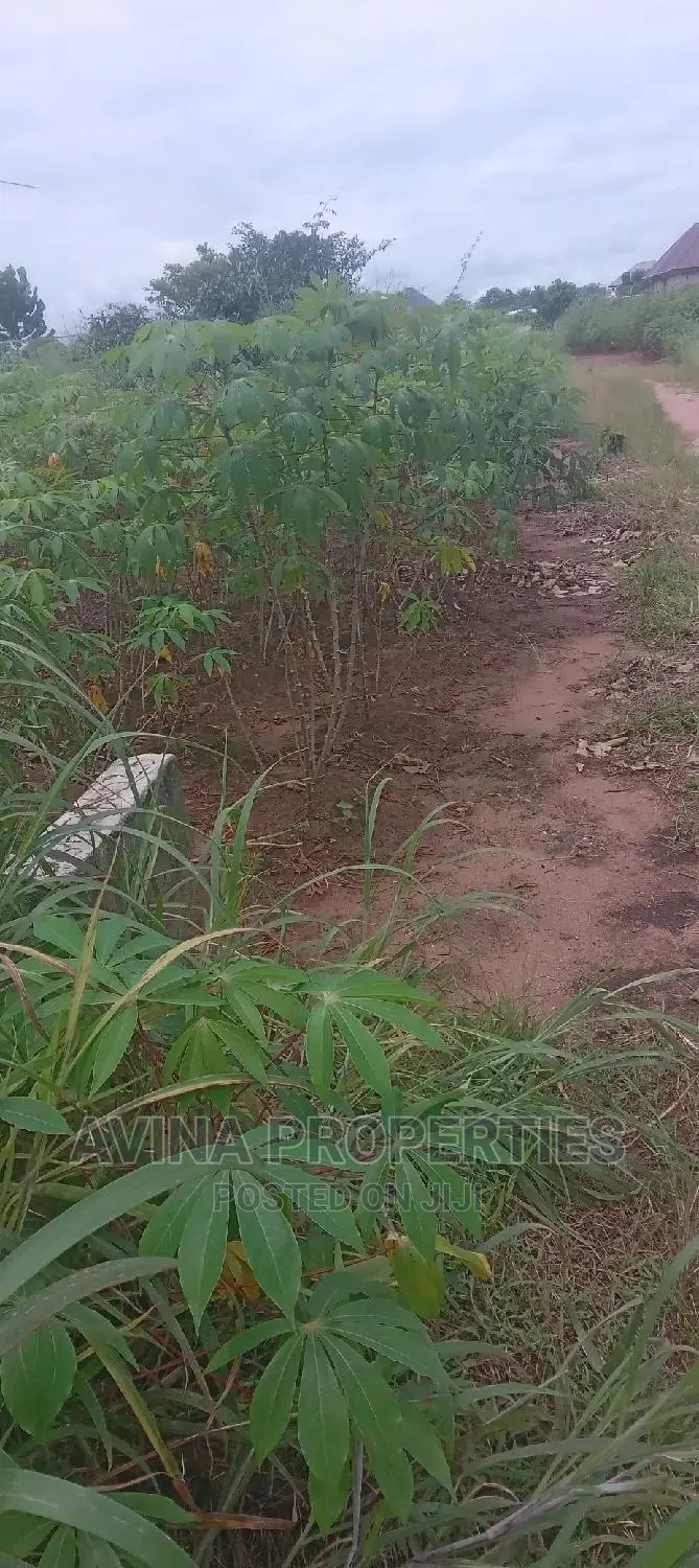 One Plot of Land for Sale