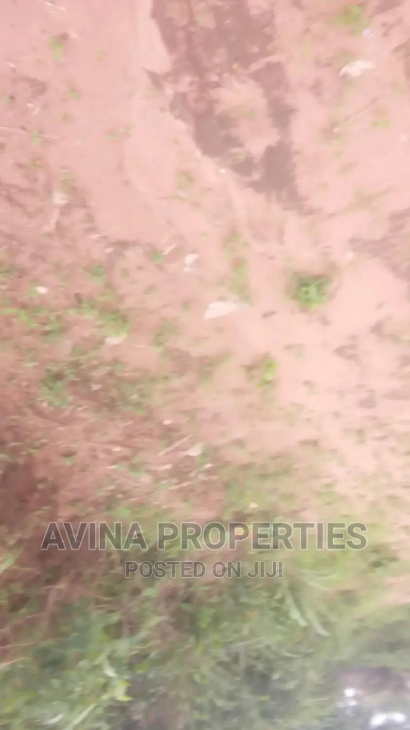 One Plot of Land for Sale