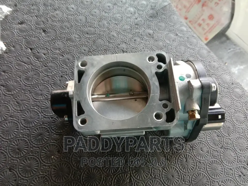 Ford Expedition Throttle Body/Injector Mouth.