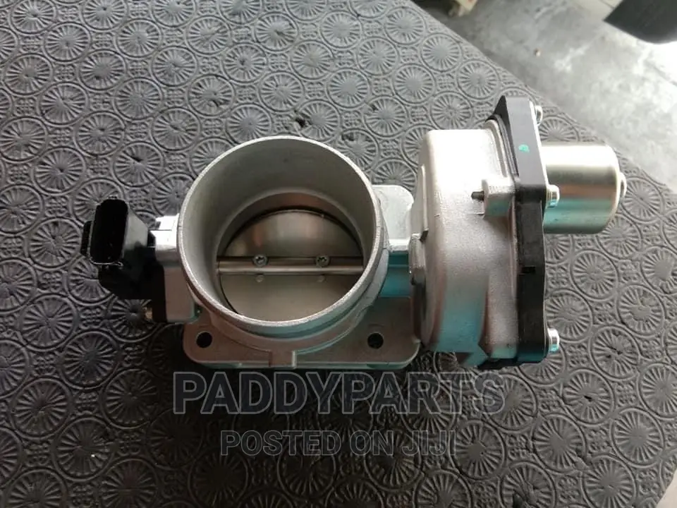 Ford Expedition Throttle Body/Injector Mouth.