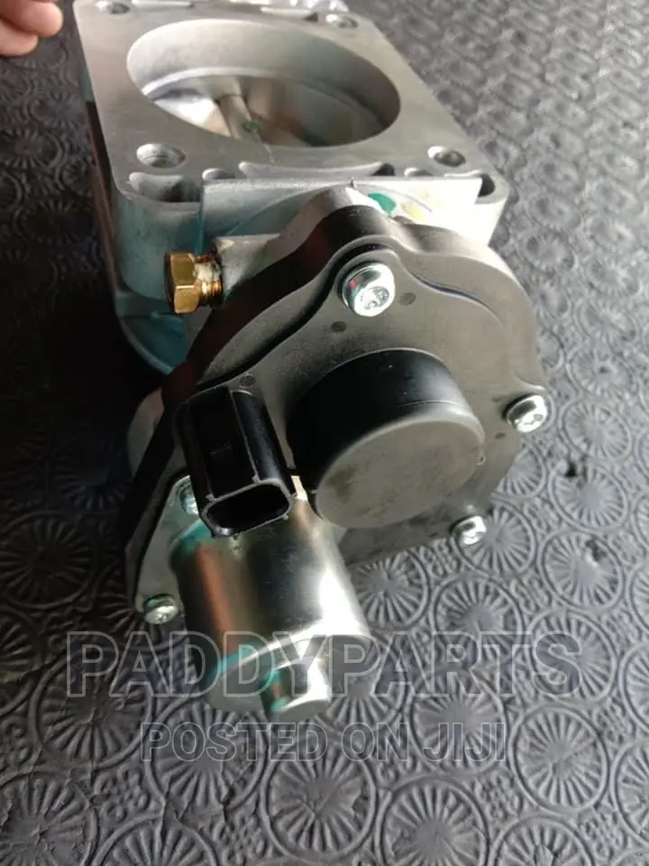 Ford Expedition Throttle Body/Injector Mouth.
