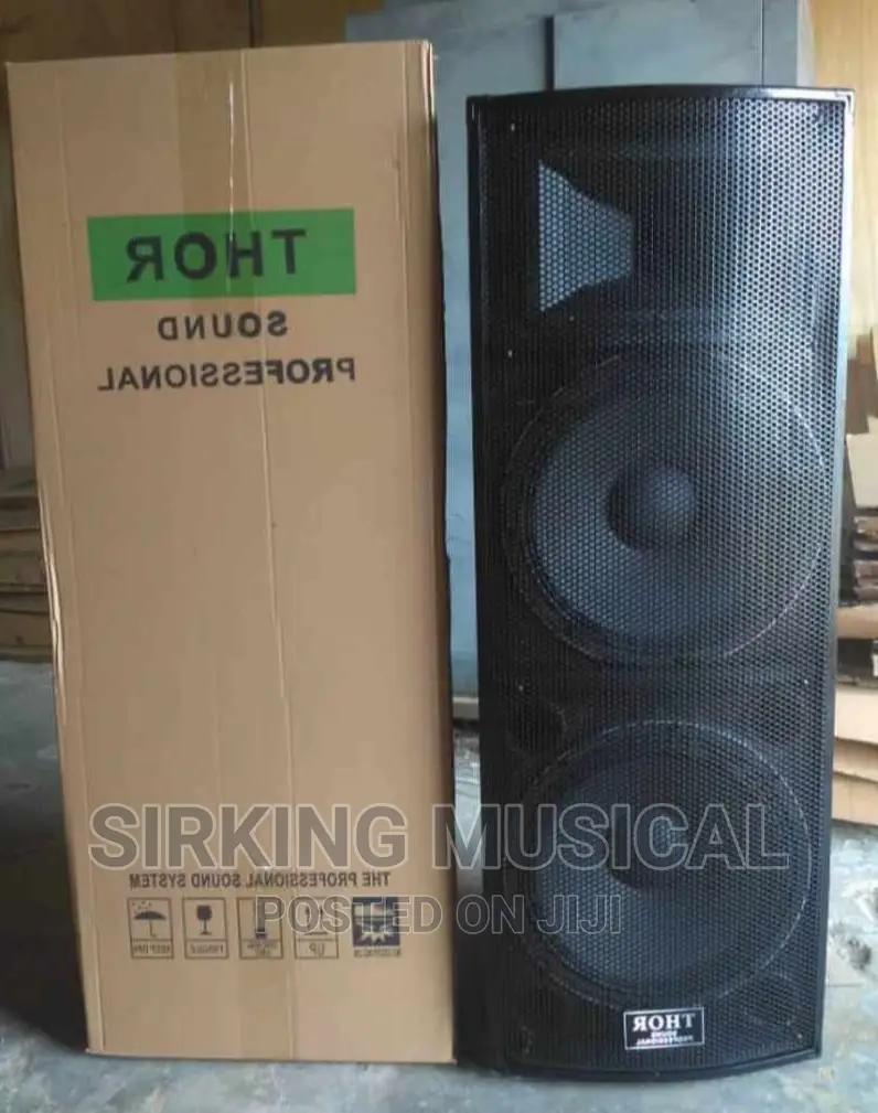 T-T 25 THOR SOUND Double Semi Acoustic Speaker
