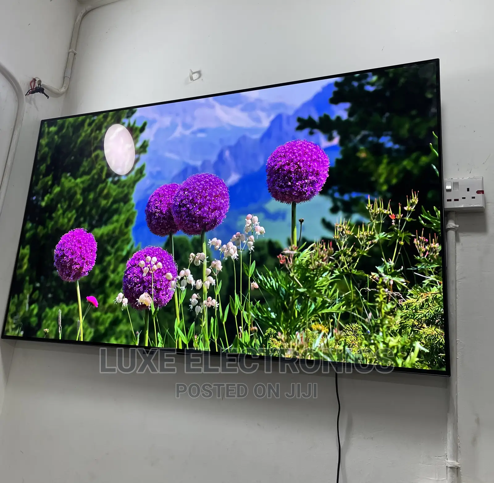 65 Inches LG OLED Ai Thinq Smart Tv Foreign Used