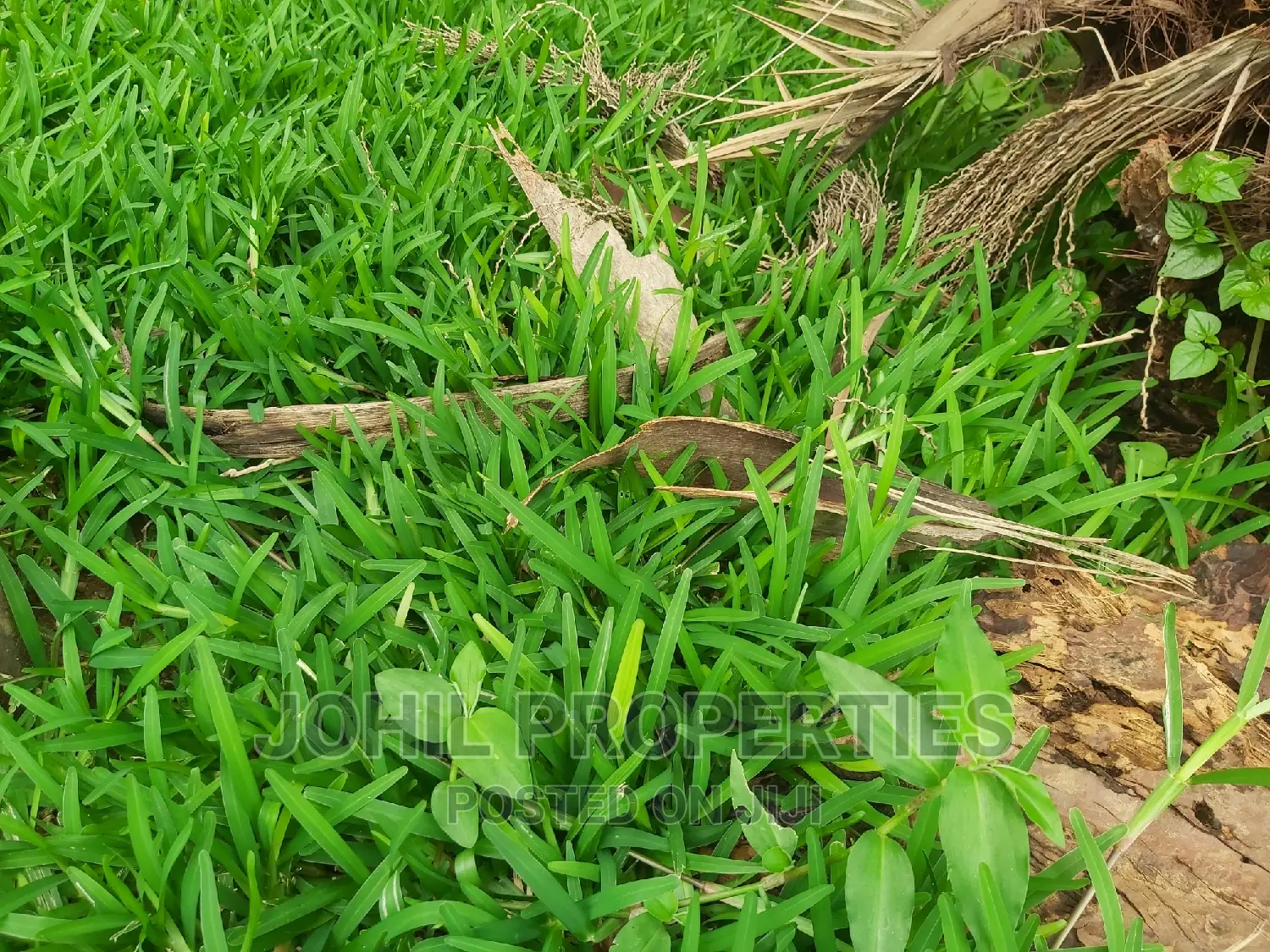 6.7 Hectares