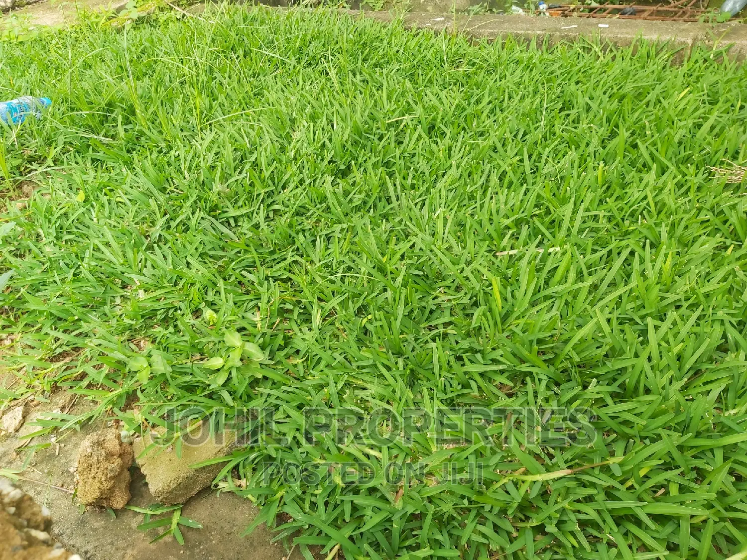 6.7 Hectares