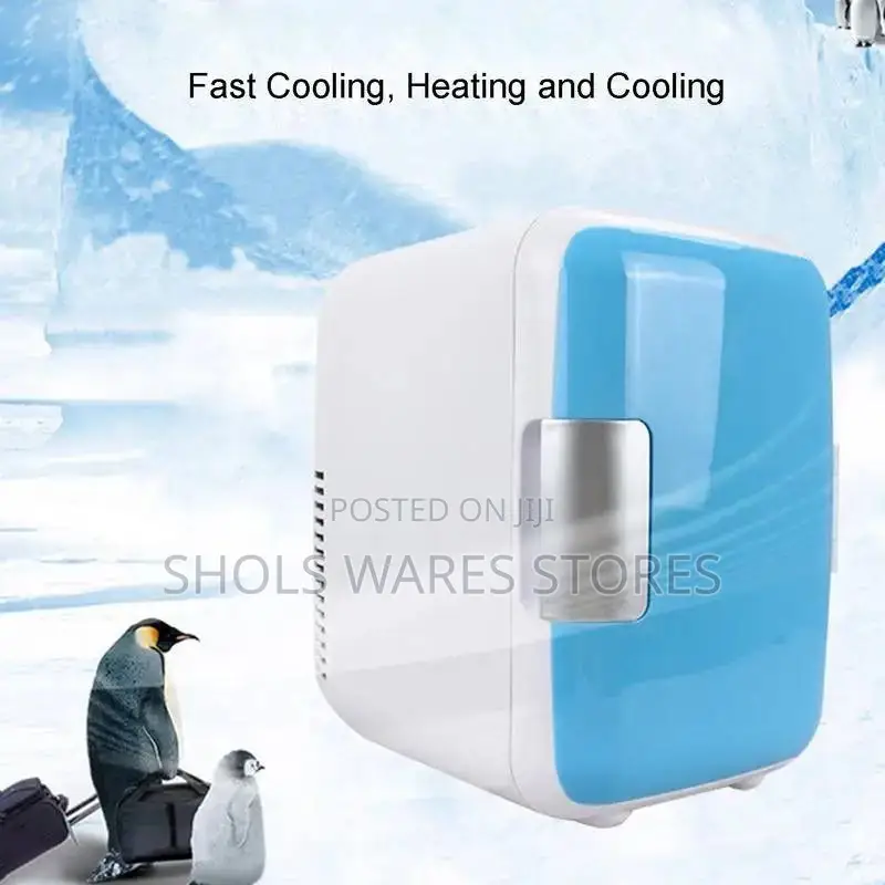 Car Portable Fridge Cooler