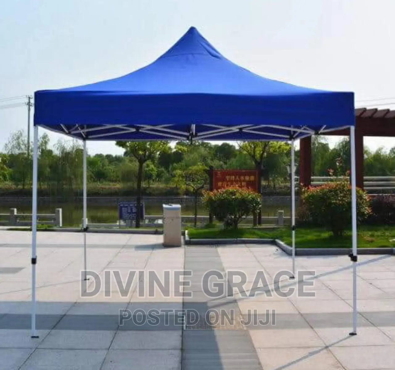 10x10 Foldable Canopy