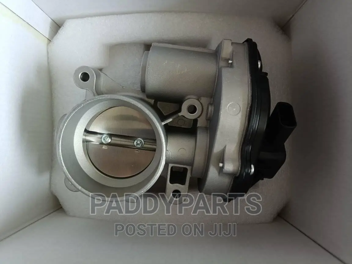 Ford Focus Throttle Body/Injector Mouth