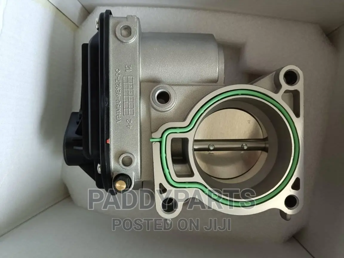Ford Focus Throttle Body/Injector Mouth