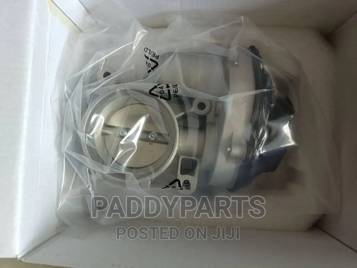 Ford Focus Throttle Body/Injector Mouth