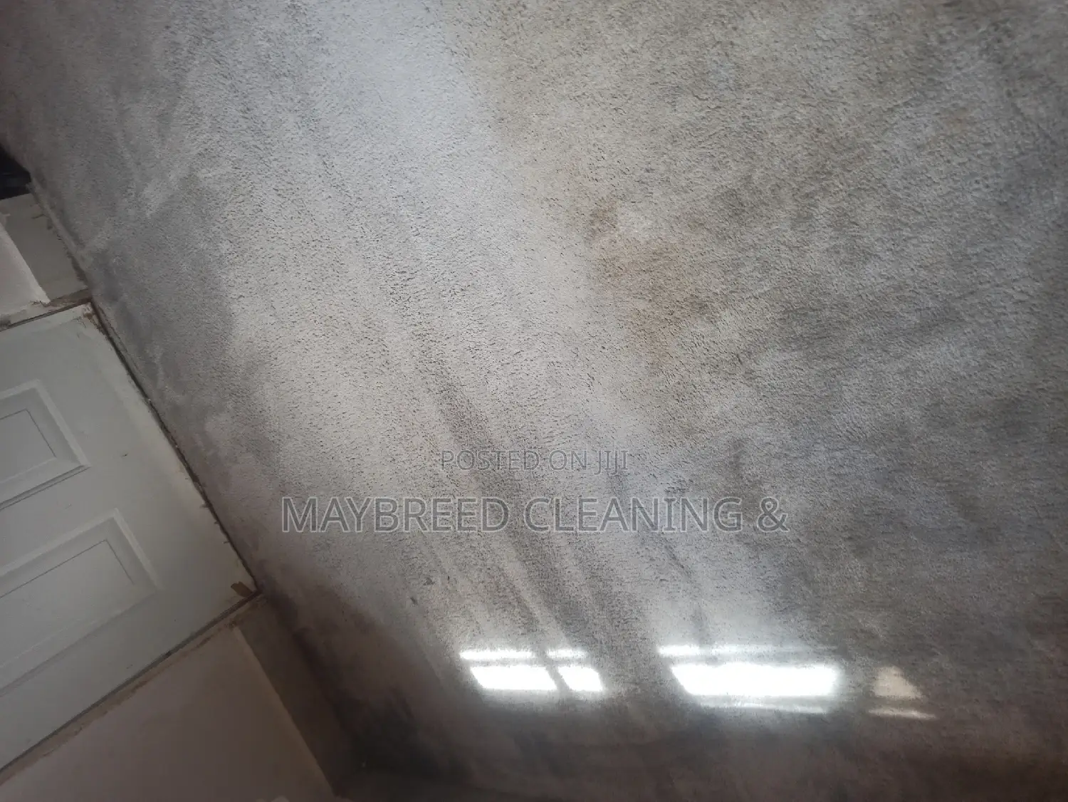 Superb Carpet Rug Cleaning+