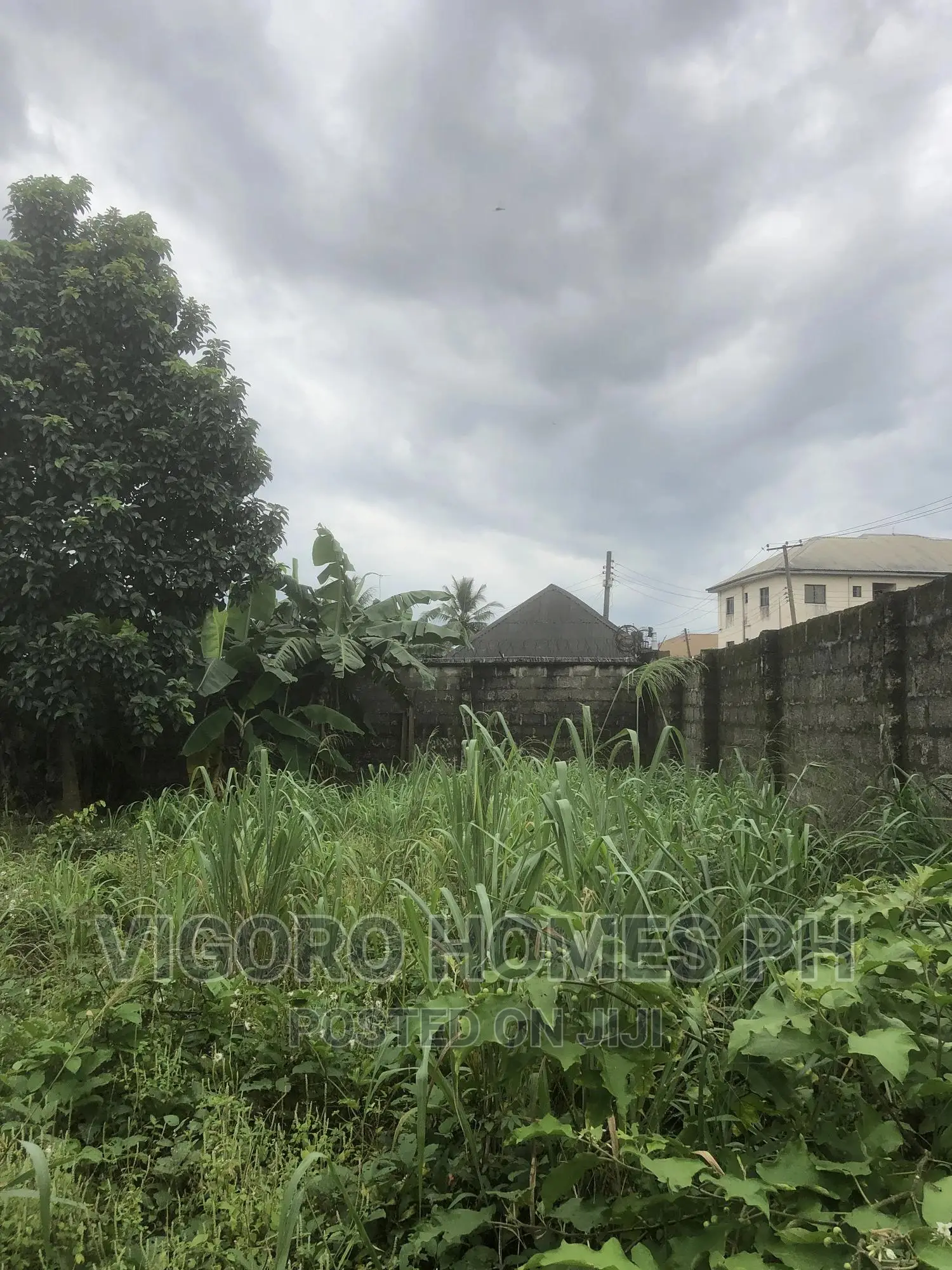 Registered With C of O Land