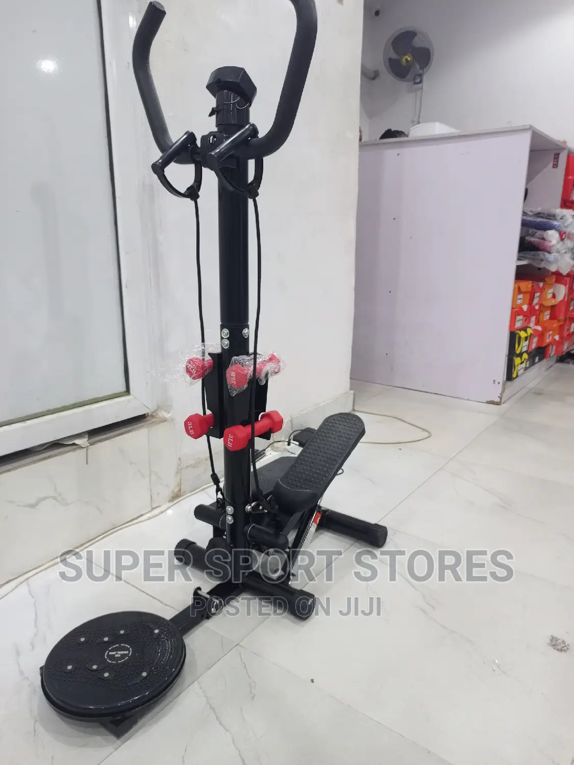 Standing Stepper With Twister