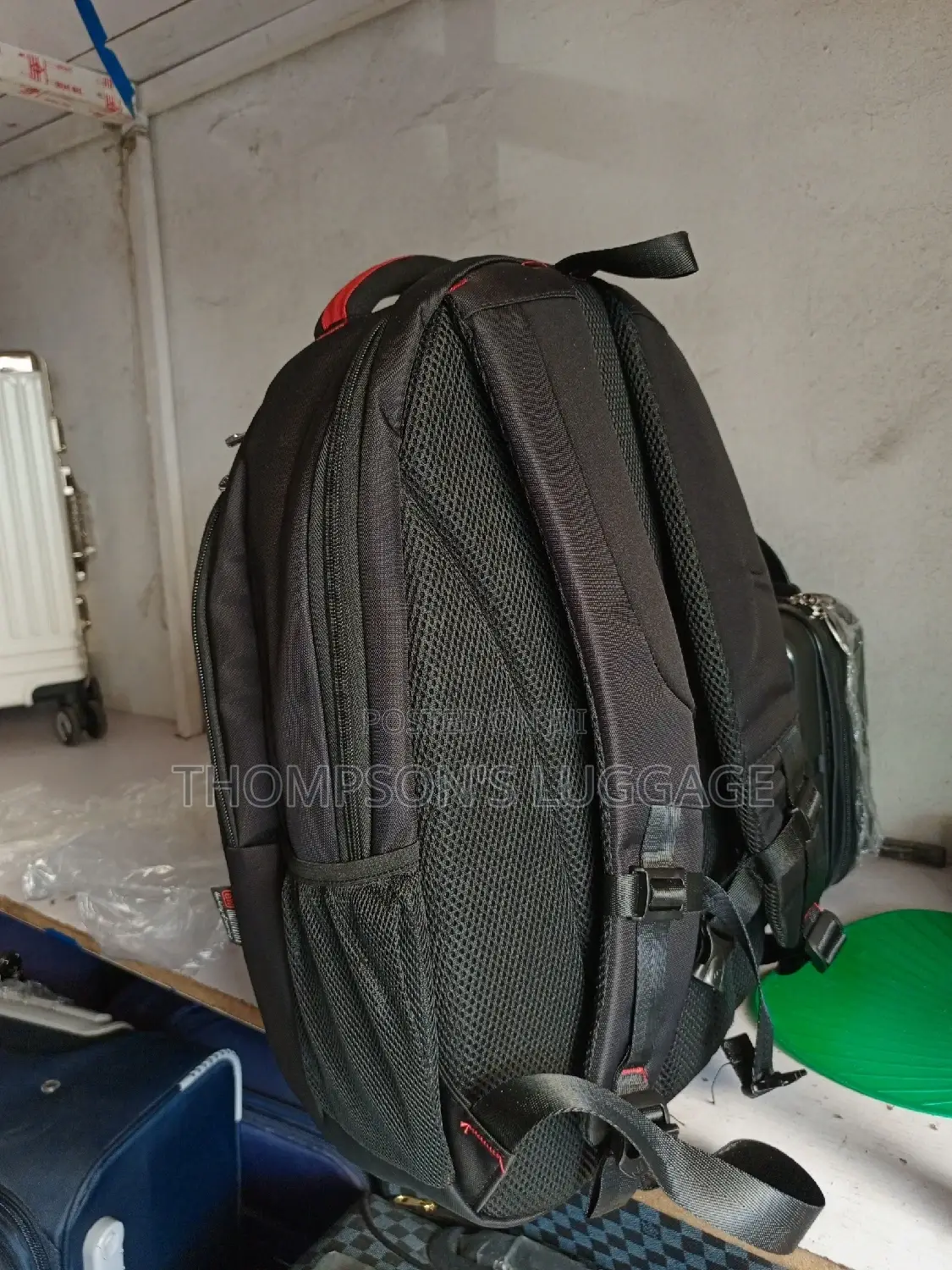 Biaowang Backpack