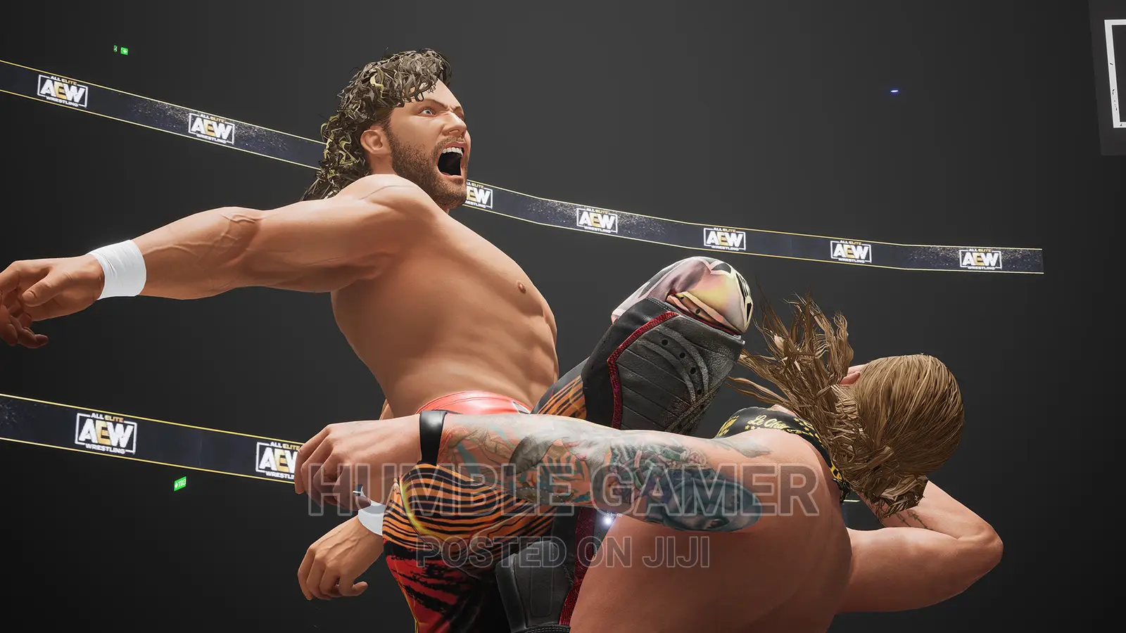 AEW (All Elite Wrestling) Fight Forever PC\Computer Games