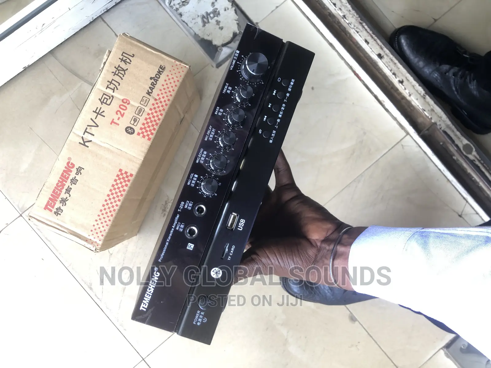 Temeisheng Amplifier