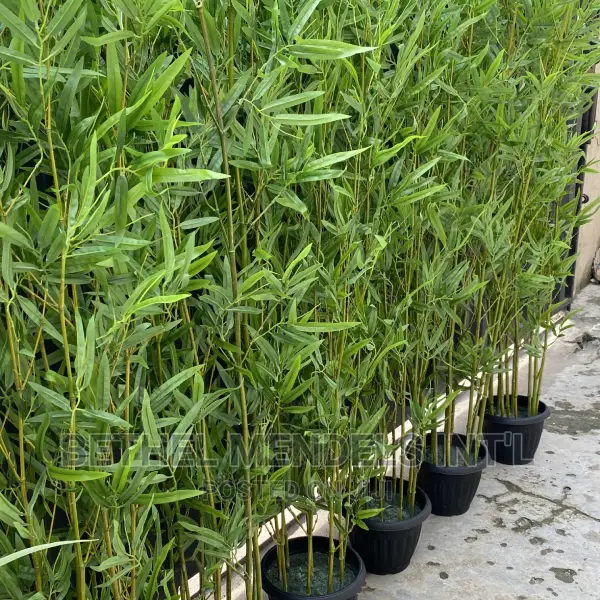 Fake Bamboo Plants Available for Wholesales Purchases