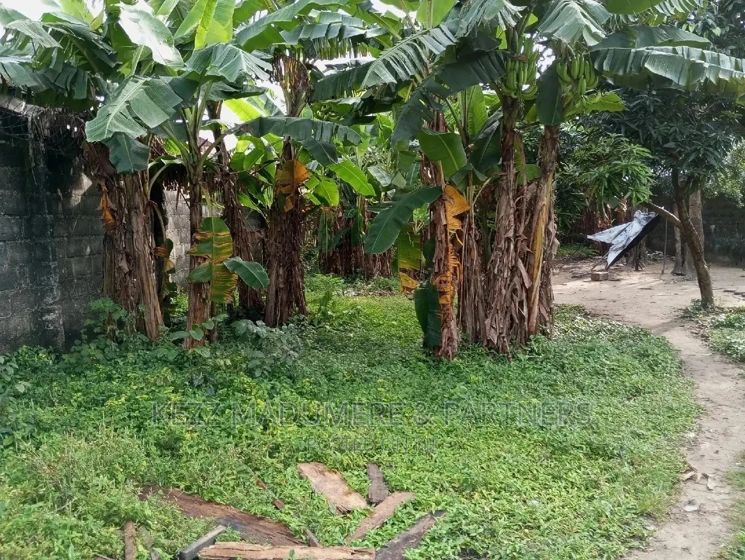For Sale Land Behind Ruby Center Rumuodomaya