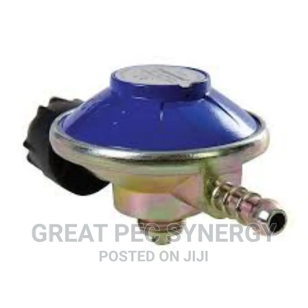 Camping Gas Regulator.