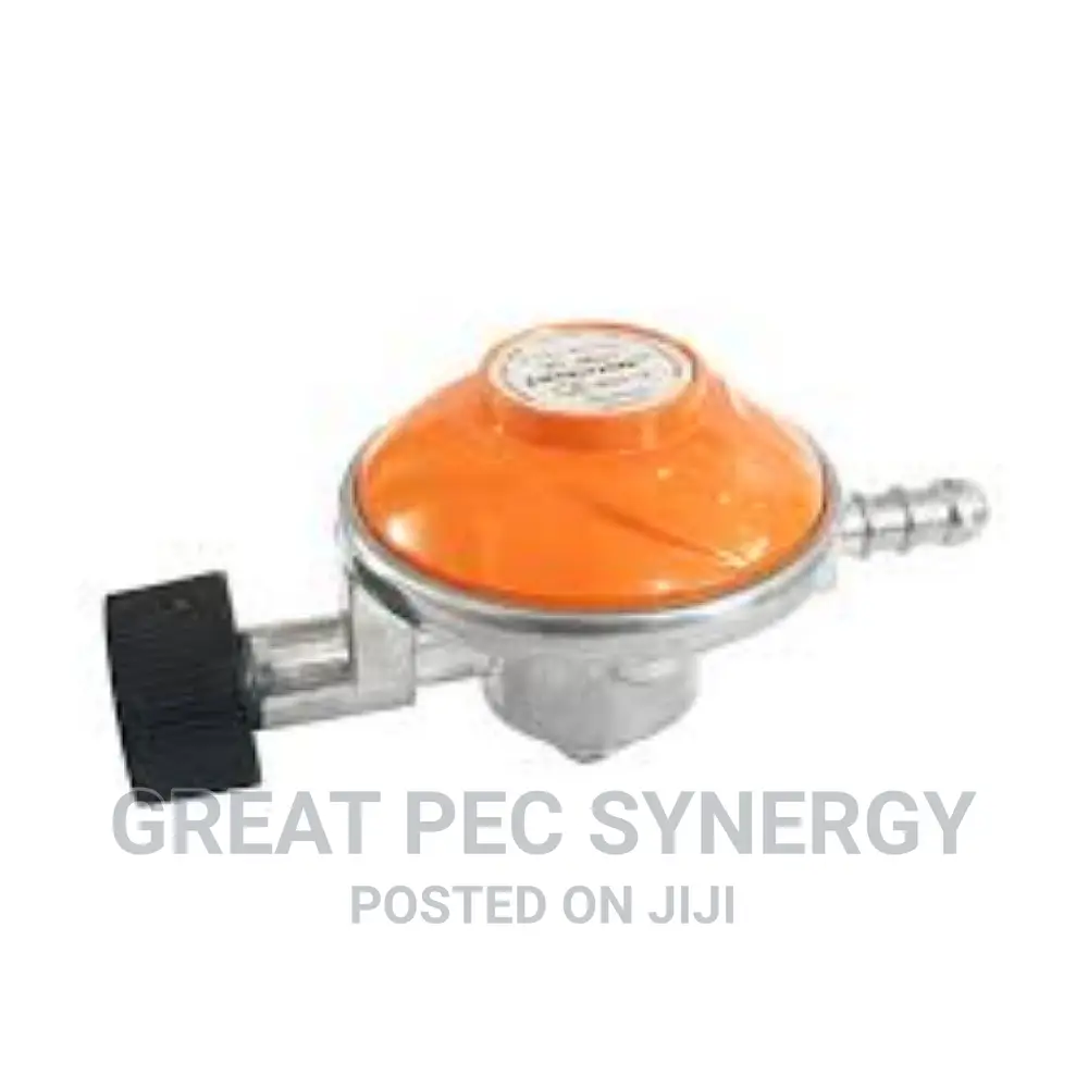 Camping Gas Regulator.