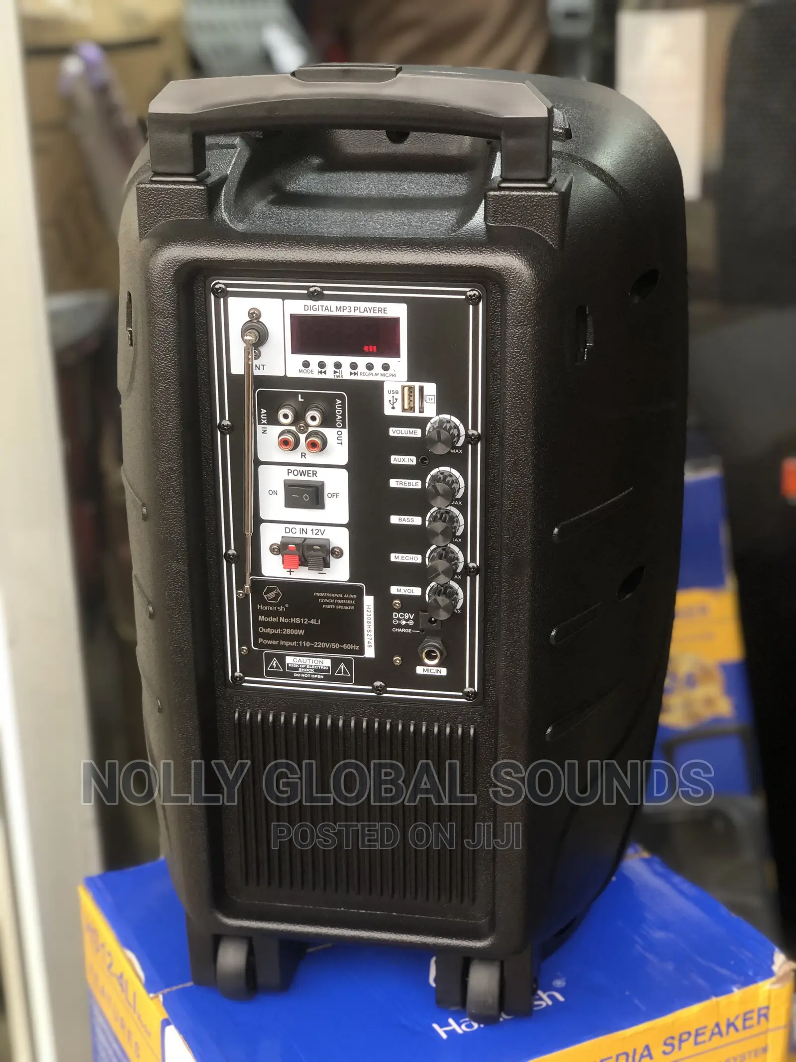 Sonymax 12 Inches Public Addressing System With 2 Wireless Microphones